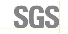 SGS(图1)